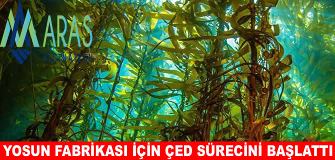 Aras Alginatech, deniz yosunu fabrikası kuracak