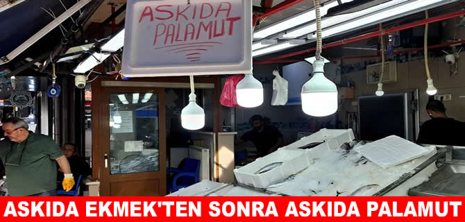 Askıda ekmekten sonra ‘Askıda palamut’