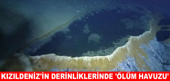 Kızıldeniz derinliklerinde “ölüm havuzları” keşfedildi