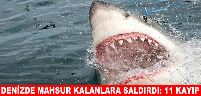 Denizde köpek balığı saldırısı: 11 kayıp