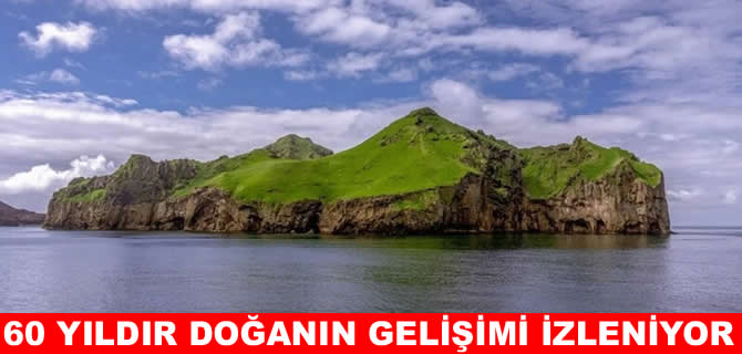 Doğa deneyine ev sahipliği yapan ada: Ağaç dikmek bile yasak