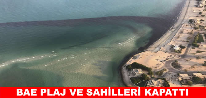 BAE'de plajlar ve sahiller kapatıldı! Avcılık yasaklandı