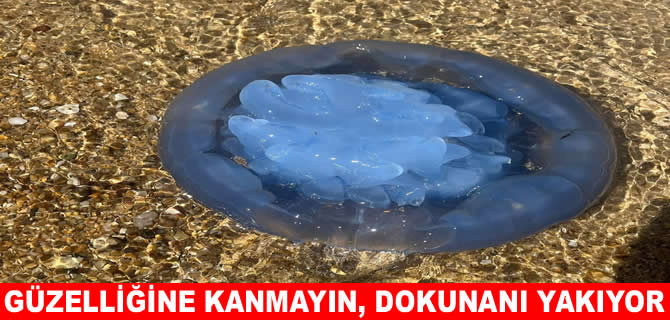Görenler ne olduğunu anlamadı! Mavi rengi göz alıyor