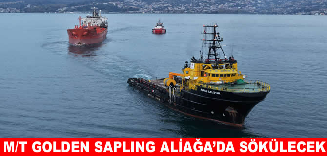 M/T Golden Sapling’in son durağı Öge Gemi Söküm Tesisleri