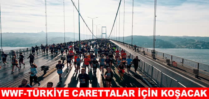 WWF-Türkiye deniz kaplumbağaları için koşacak