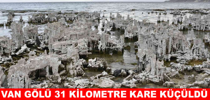 Van Gölü git gide tarım alanına dönüşüyor