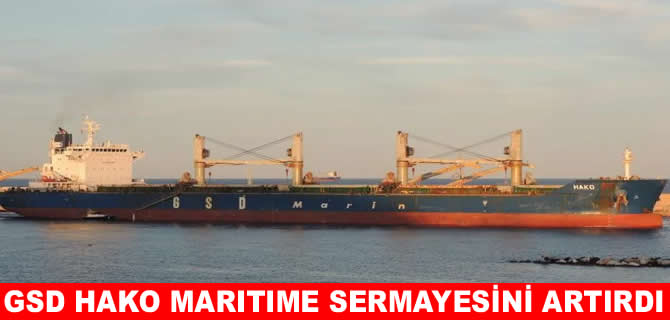 GSD Denizcilik, Hako Maritime’deki sermayesini artırdı