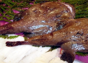 Balıkçının ağına deniz canavarları takıldı