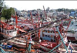 Tsunami Balıkçılığı Öldürdü