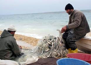 Atatürk Barajı'nda balıkçılık yaygınlaşıyor