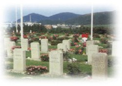 Kore Şehitleri Törenle Anıldı.