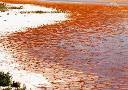 Kuruyan göle su takviyesi