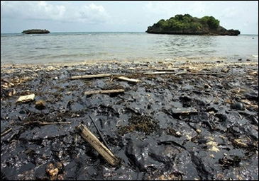 Filipinler’de kıyılar petrole boyandı