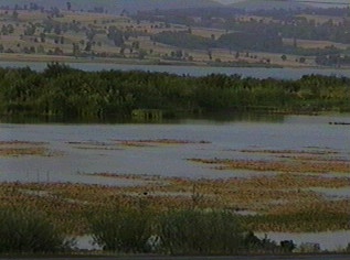 Samsun'daki Ladik Gölü'de kurudu