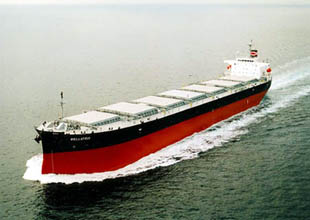 Panamax filosuna 29 gemi katıldı