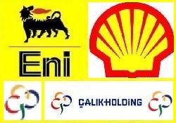Samsun-Ceyhan'a "Shell" ilgisi