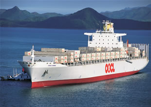 OOCL, NYK Hercules'i kiraya verdi