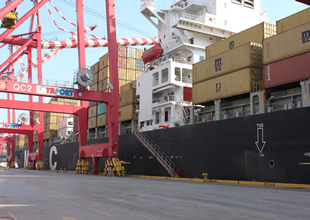 YILPORT'tan gemi operasyonunda rekor