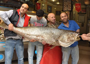74 kiloluk minekop görenleri şaşırttı