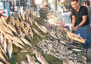 Lüferi soran çok ama hala tezgâhta yok