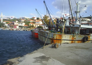 Marmara'da trol avcılığı ile mücadele