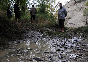 Alabalık çiftlikleri de selden zarar gördü
