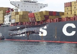 MSC Roberta'dan Çevre Kirliliği