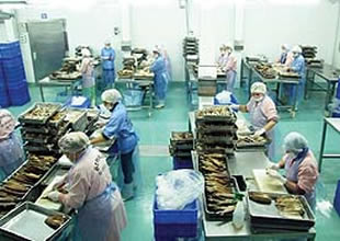 Soğuk ve yağış balık üretimini artırdı