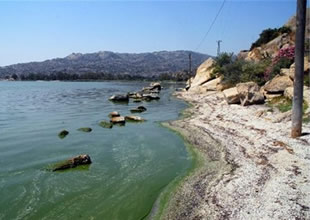Bafa Gölü'nü kurtarma çalıştayı yapıldı