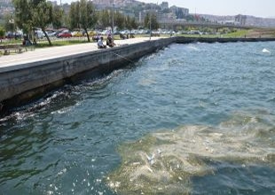 Zonguldak'ta denizde kirlilik rahatsız ediyor