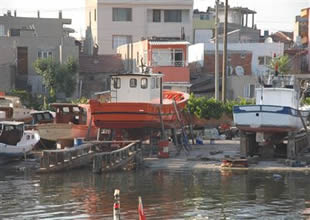 Balıkçıların baş düşmanı kekamoz