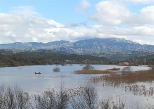 Azap Gölü'nde 'Güneş balığı' tehlikesi!