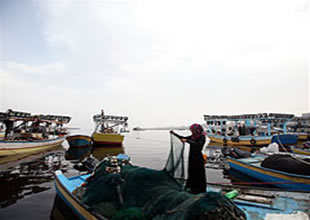 Gazzeli balıkçılar balık üretim tesisi kurdu