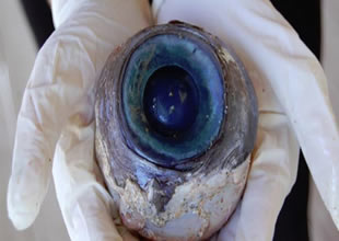 ABD' bulunan dev gözün sırrı çözüldü