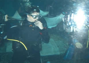 Deniz Akkaya köpekbalıklarıyla birlikte yüzdü