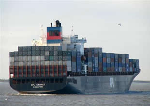 Diana Containership panamax gemi aldı