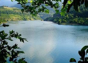 Seyfe balıkları ile cazibe merkezi oluyor