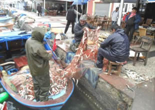 Sinop'ta balıkçı tekneleri denetlendi