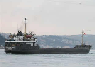 Tuna'da batan gemi felakete neden oldu