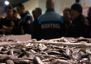 Kaçak balıkçılıkta denetim rekoru kırıldı