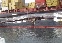 MSC Roberta Pire'ye yol alıyor