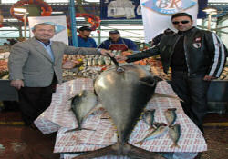 600 kiloluk dev orkinos şaşırttı