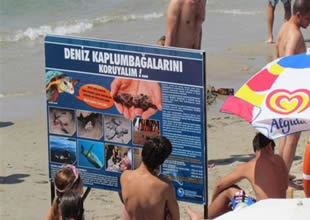 Caretta caretta yumurtalarına 5 yıldızlı koruma