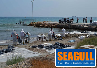 Seagull, temizlik çalışmalarına başladı