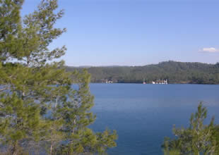 Okluk Koyu'nda çevre kirliliği had safhada