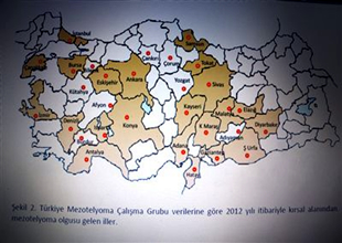 Sağlık Bakanlığı asbest haritasını çıkardı