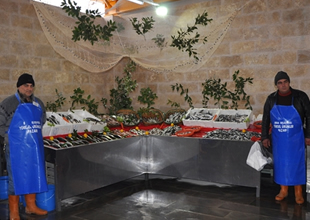 Tokat Erbaa'da '4 mevsim balık' olacak