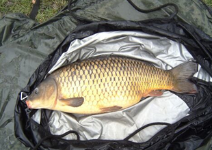 Denize sazan boşaltan balıkçıya tepki