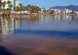 Çevreciler, Marmaris Körfez'ini kurtarmak için çözüm arıyor