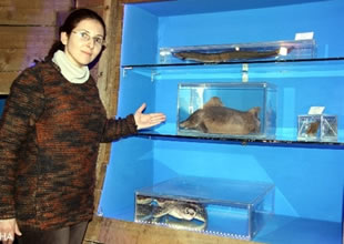 500 deniz canlısı müzede hayat buldu